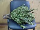 Продам веники для бани и сауны (2 фотографии)